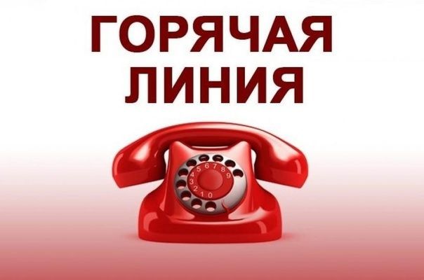 Перечень горячих линий Краснодарского края.